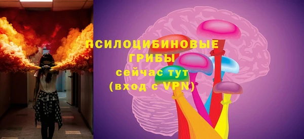 стаф Алексин