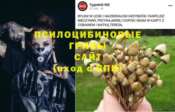 стаф Алексин