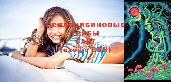 скорость Алзамай