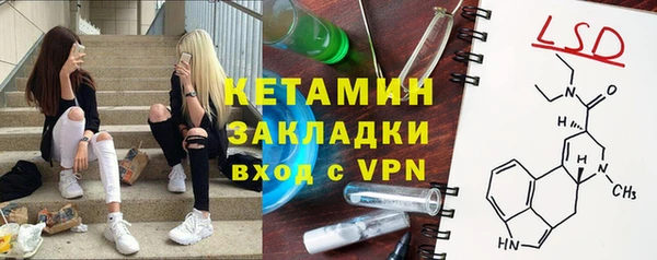стаф Алексин
