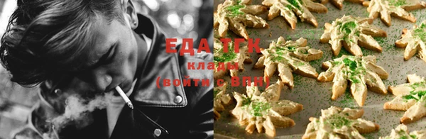скорость Алзамай